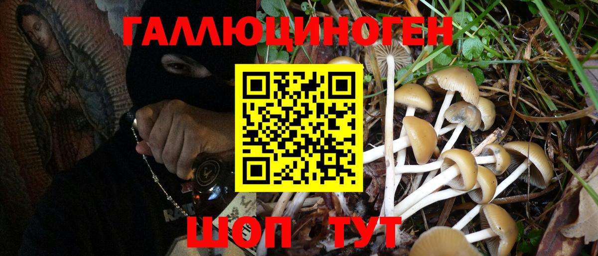 Галлюциногенные грибы мицелий  Вход с VPN  где продают   Кудрово 